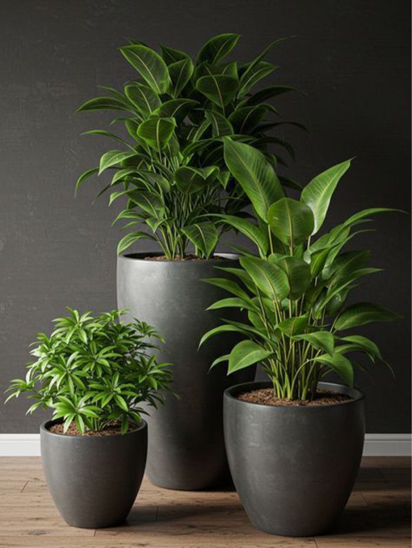 Modern plant landscape design